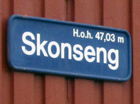 Skonseng stasjon MOH
